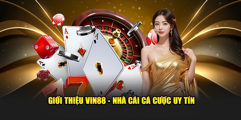 Tổng quan đôi nét giới thiệu VIN88